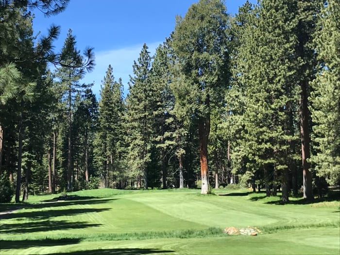 Towering pines surround Old Brockway's fifth hole.